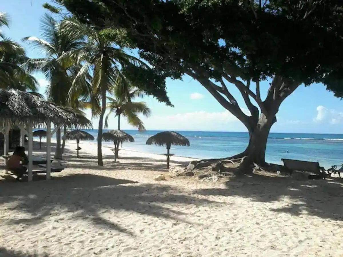 Karibeko : Exceptionnel & Rare : Plage , Piscine, Wifi Prive Сен Франсоа Екстериор снимка